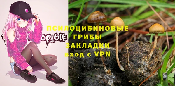 прущие крисы Аркадак