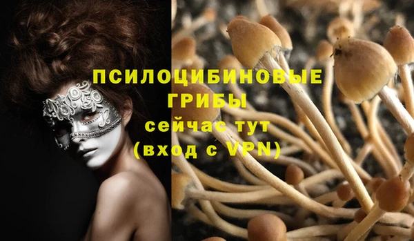 спиды Армянск