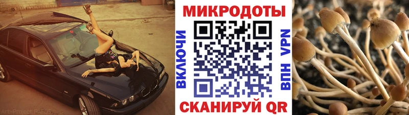 Псилоцибиновые грибы мицелий  Артёмовск 